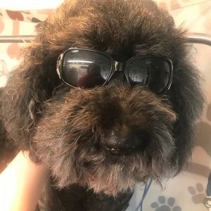 Meet your Posher, Tara